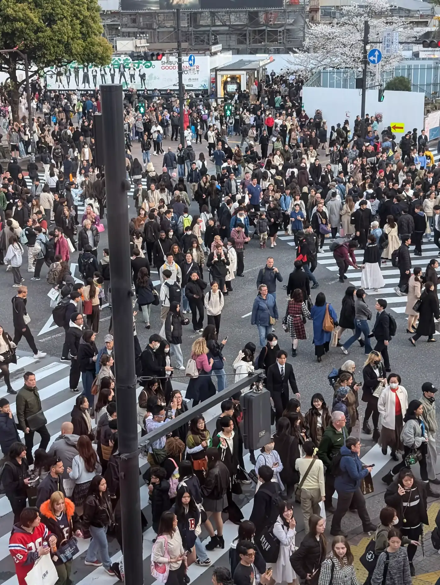 Fabi und Ayumi haben sich auf der Shibuya Kreuzung versteckt