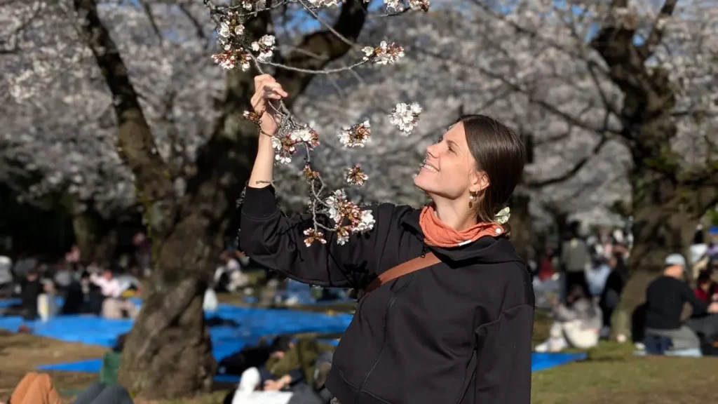 Anna beim Betrachten der Sakura