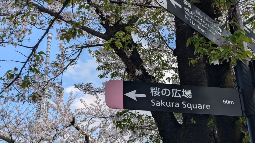 Sakura Square in Japan