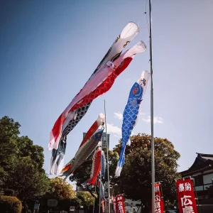 Koinobori im Wind