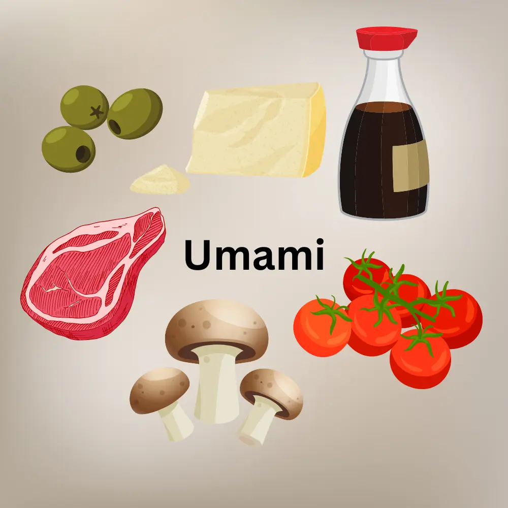 Umami Lebensmittel
